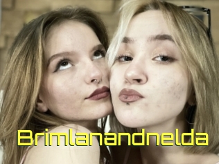 Brimlanandnelda