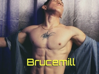 Brucemill