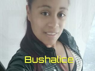Bushalice