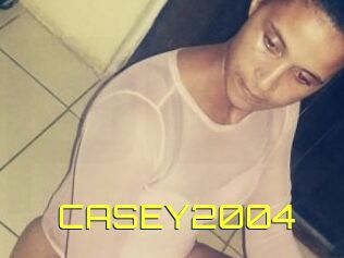 CASEY2004