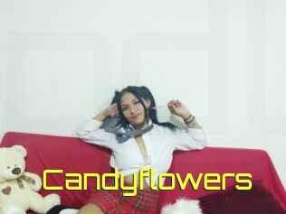 Candyflowers