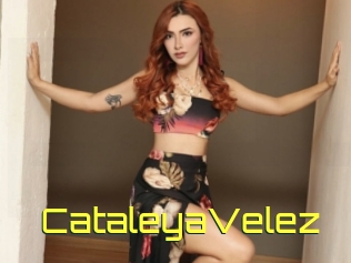 CataleyaVelez