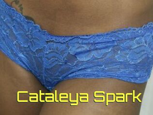 Cataleya_Spark