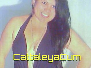 CattaleyaCum