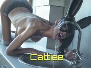 Cattiee