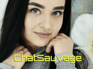 ChatSauvage