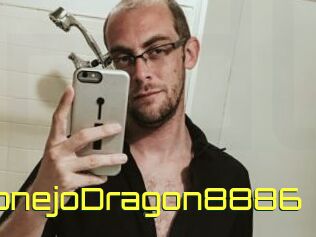 ConejoDragon8886