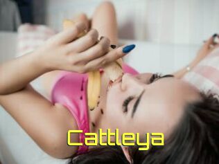 _Cattleya