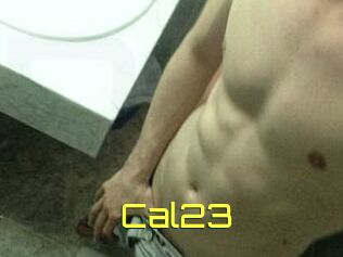 Cal23