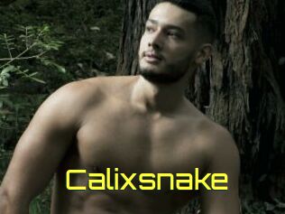 Calixsnake