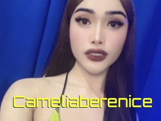 Cameliaberenice