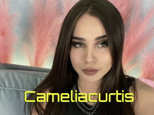 Cameliacurtis