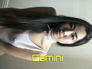 Camini
