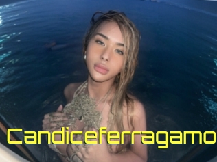 Candiceferragamo