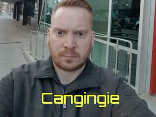 Cangingie