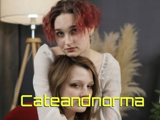 cateandnorma Pine De Lapin