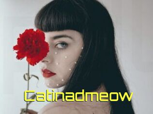 Catinadmeow