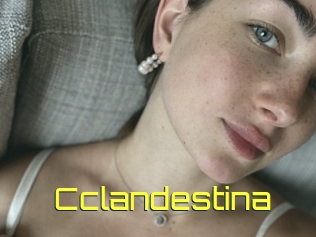 Cclandestina