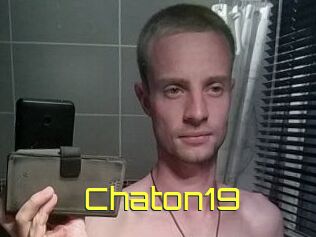 Chaton19