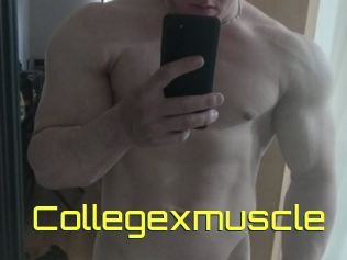 Collegexmuscle