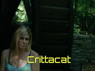 Crittacat