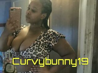 Curvybunny19