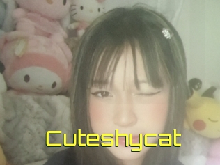 Cuteshycat