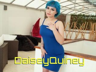 DaiseyQuiney