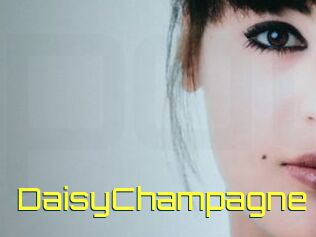 DaisyChampagne