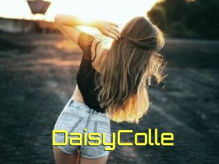 DaisyColle