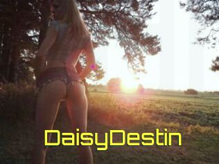 DaisyDestin