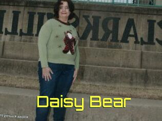 Daisy_Bear