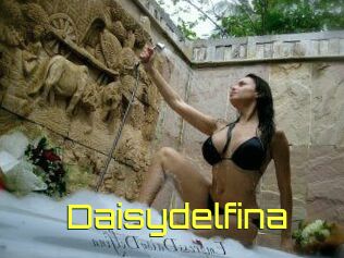 Daisydelfina