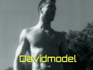 Davidmodel