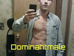 Dominantmale