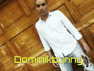 Dominikbunny