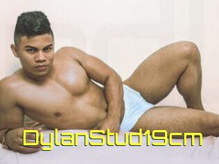 DylanStud19cm