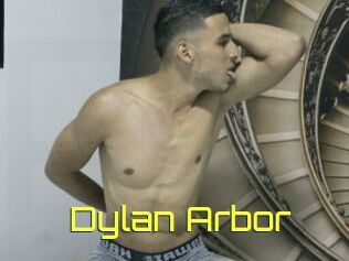 Dylan_Arbor