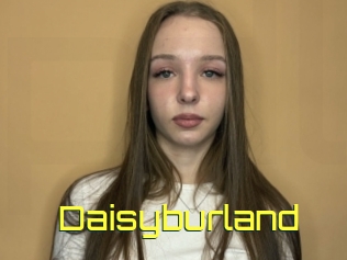 Daisyburland