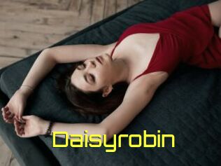 Daisyrobin