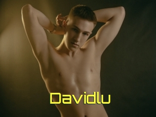 Davidlu