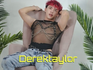 Derektaylor