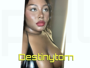 Destinytorn