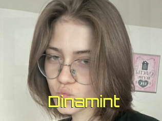 Dinamint