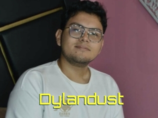 Dylandust