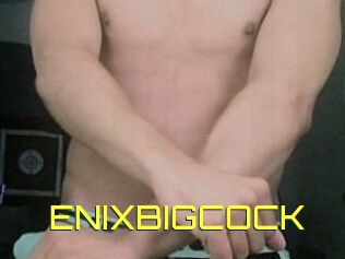 ENIXBIGCOCK