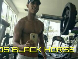 EROS_BLACK_HORSE