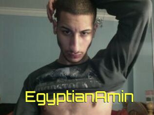 EgyptianAmin