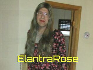 Elantra_Rose