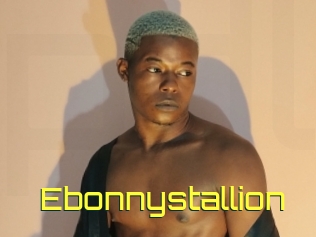 Ebonnystallion